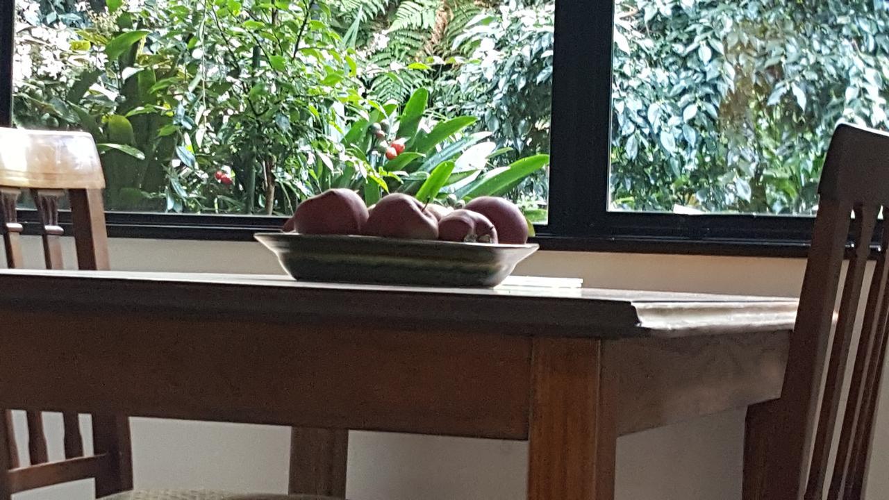 Bed and Breakfast Sequoia Steps New Plymouth Zewnętrze zdjęcie