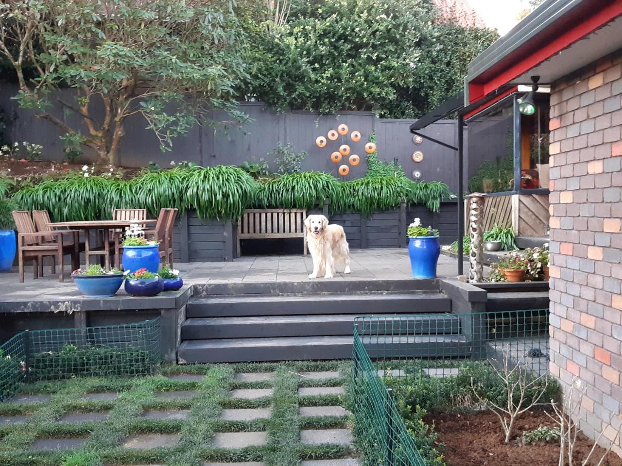 Bed and Breakfast Sequoia Steps New Plymouth Zewnętrze zdjęcie