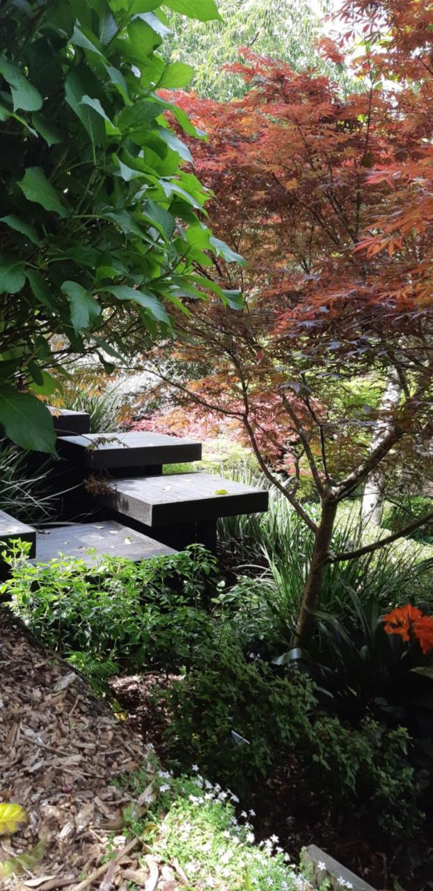 Bed and Breakfast Sequoia Steps New Plymouth Zewnętrze zdjęcie